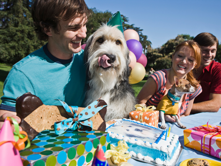 The Ultimate Dog Birthday Party: How to Host a Dog-Friendly Celebration At Home