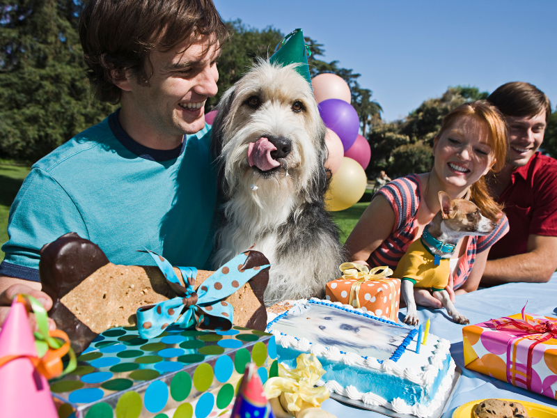 Ultimate Dog Birthday Party