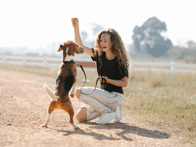 Celebrate Tricks with your dogs