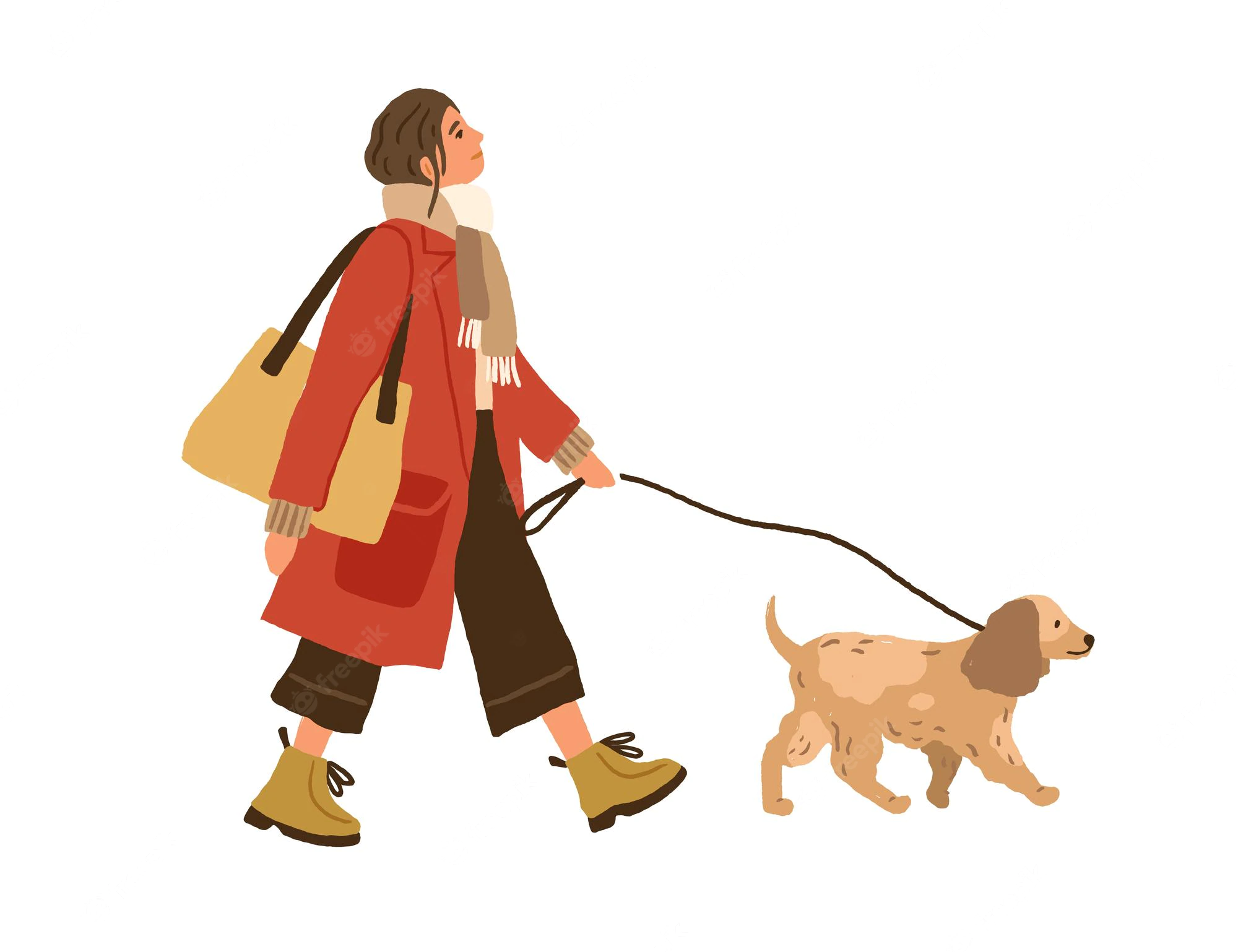 Rover Dog Walking