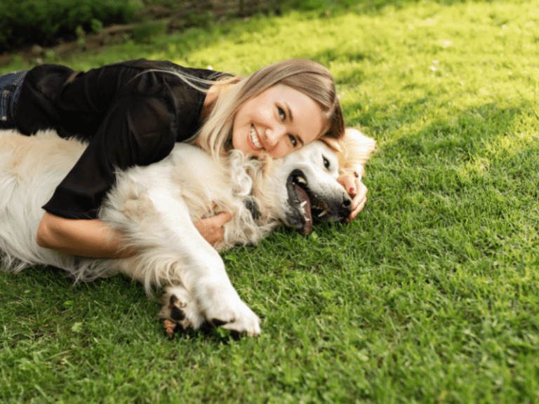 The Joys and Responsibilities of Owning a Dog