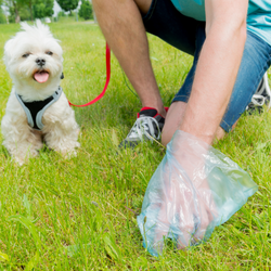 Poop Yard Clean Up (at your home)