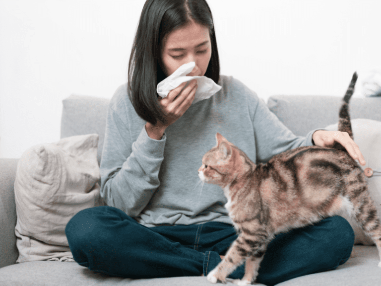 Cat Allergies: Here’s How You Can Still Enjoy Feline Companionship