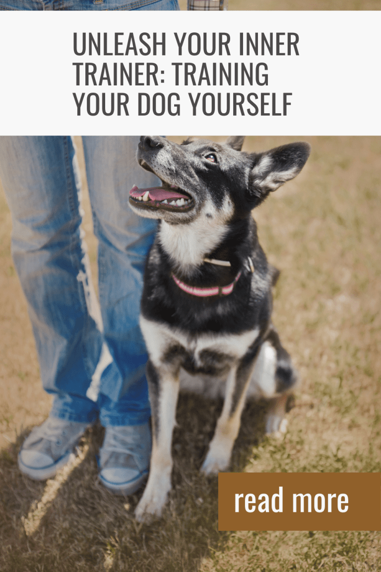 Training Your Dog Yourself: Unleash Your Inner Trainer!
