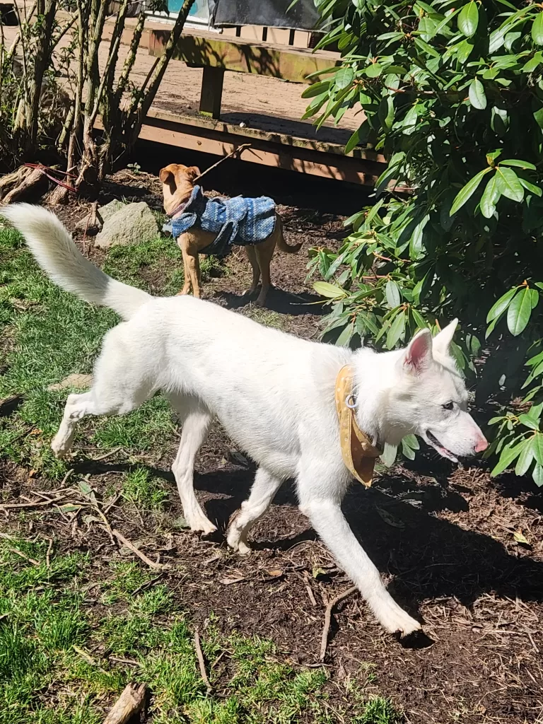 Playing outside