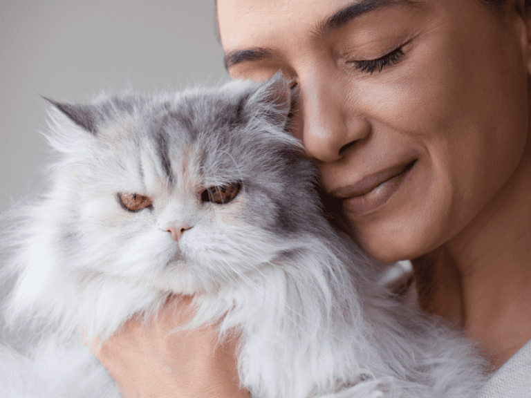 The Unique and Fun Aspects of Cats: The Perfect Companions