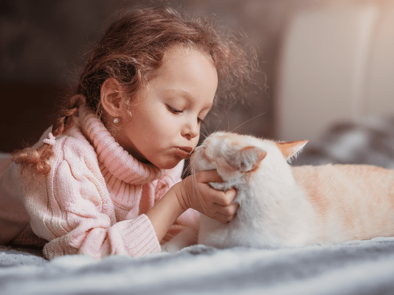 Humans and Cats: Love and Loyalty